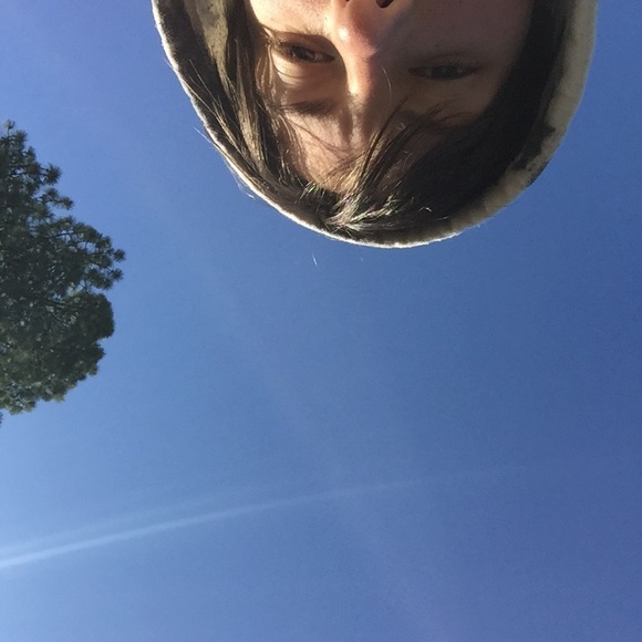 jackalbitch